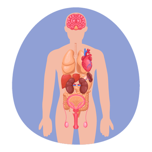 portada-granulomatosis-eosinofílica